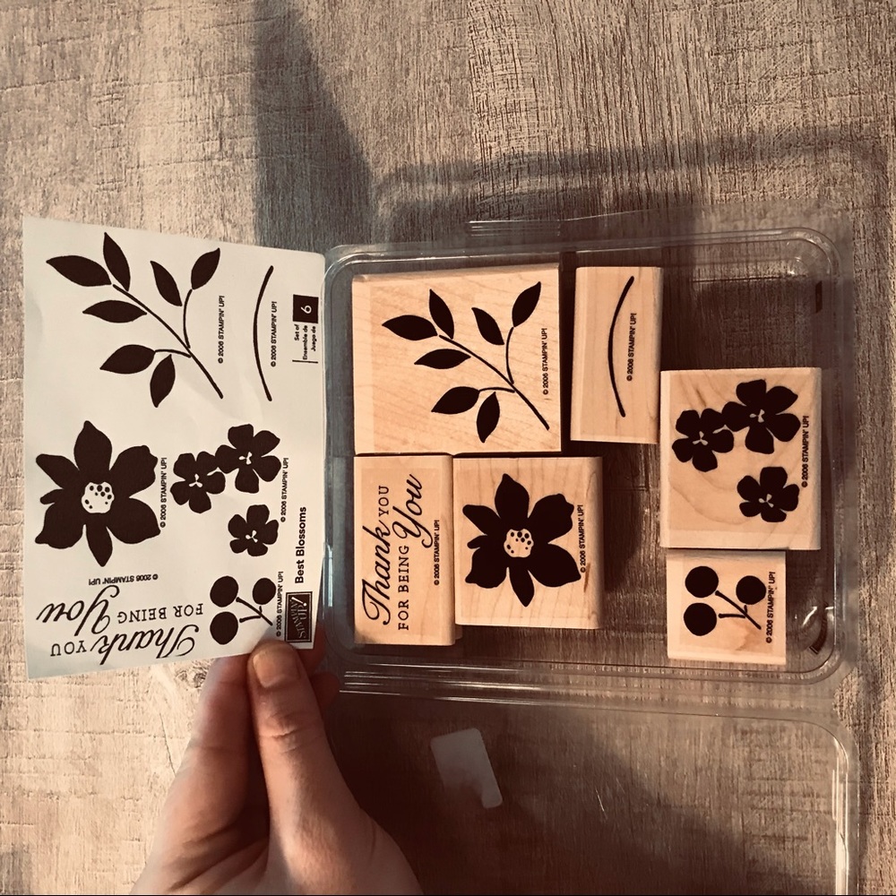 Never Been Used Set of 6 Stampin Up Stamps